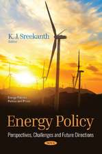 SREEKANTH, K: Energy Policy