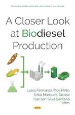 Closer Look at Biodiesel Production