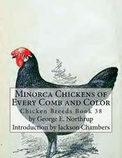 Minorca Chickens of Every Comb and Color