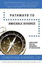 Pathways to Amicable Divorce