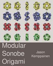 Modular Sonobe Origami