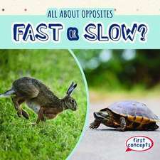 Fast or Slow?