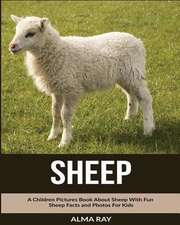 Sheep