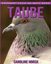 Taube