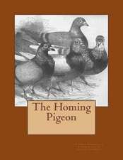 The Homing Pigeon