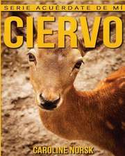 Ciervo