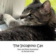 The Incognito Cat