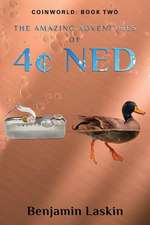 The Amazing Adventures of 4cents Ned