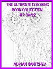 The Ultimate Coloring Book Collection #7 Owls