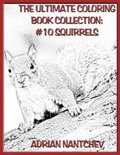 The Ultimate Coloring Book Collection #10 Squirrels