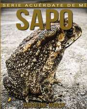 Sapo