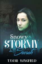 Snowy Stormy Secrets