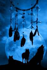 A Mystical Dreamcatcher and Wolves Singing to the Full Moon Journal