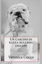 Un Carlino Di Razza Bulldog Inglese