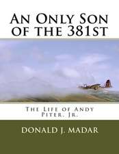 An Only Son of the 381st