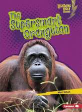 The Supersmart Orangutan