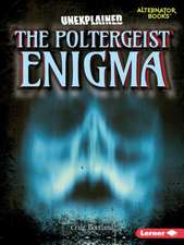 The Poltergeist Enigma