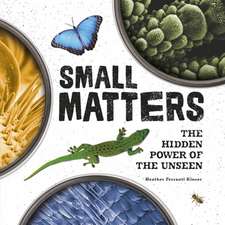 Small Matters