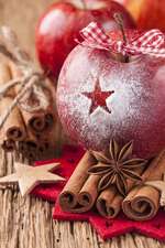 Red Winter Apples with Cinnamon Sticks and Star Anise Journal