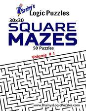 Brainy's Logic Puzzles 30x30 Square Mazes #1