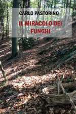 Il Miracolo Dei Funghi