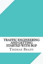 Traffic Engineering and Getting Started with Bgp