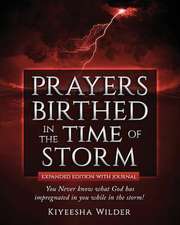 Prayers Birthed in the Time of Storm