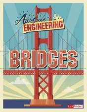 Awesome Engineering Bridges