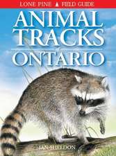 Animal Tracks of Ontario