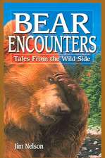 Bear Encounters: Tales from the Wild Side