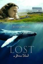 Lost on Brier Island