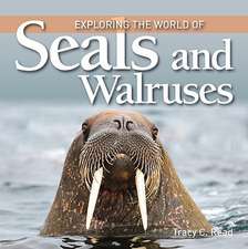 Exploring the World of Seals and Walruses