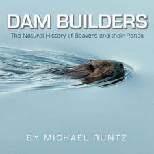 Dam Builders