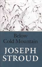 Below Cold Mountain