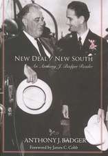 New Deal / New South