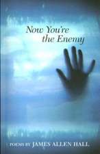 Now You're the Enemy: Poems