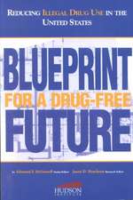 Reducing Illegal Drug Use in the United States: Blueprint for a Drug-Free Future