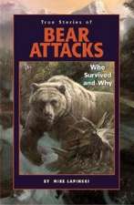 True Stories of Bear Attacks: Who Survived and Why