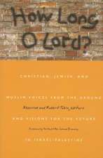 How Long O Lord?: Christian, Jewish, and Muslim Voices from the Ground and Visions for the Future in Israel/Palestine