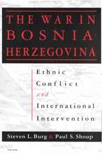 The War in Bosnia-Herzegovina: Ethnic Conflict and International Intervention