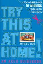 Try This at Home!: A Do-It-Yourself Guide to Winning Lesbian and Gay Civil Rights Policy