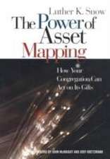 Snow, L: The Power of Asset Mapping