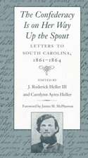 Confederacy Is on Her Way Up the Spout: Letters to South Carolina, 1861-1864