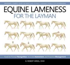 Equine Lameness for the Layman