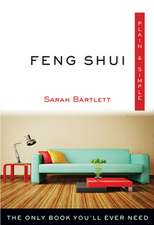 Feng Shui Plain & Simple