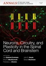 Neurons, Circuitry, and Plasticity in the Spinal Cord and Brainstem