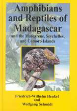 The Amphibians and Reptiles of Madagascar the Mascarenes the Seychelles and the Comoros Islands