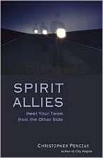 Spirit Allies: Meet Your Team from the Other Side