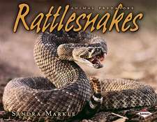 Rattlesnakes