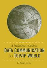 A Professional's Guide to Data Communication in a TCP/IP World